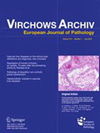 VIRCHOWS ARCHIV雜志封面